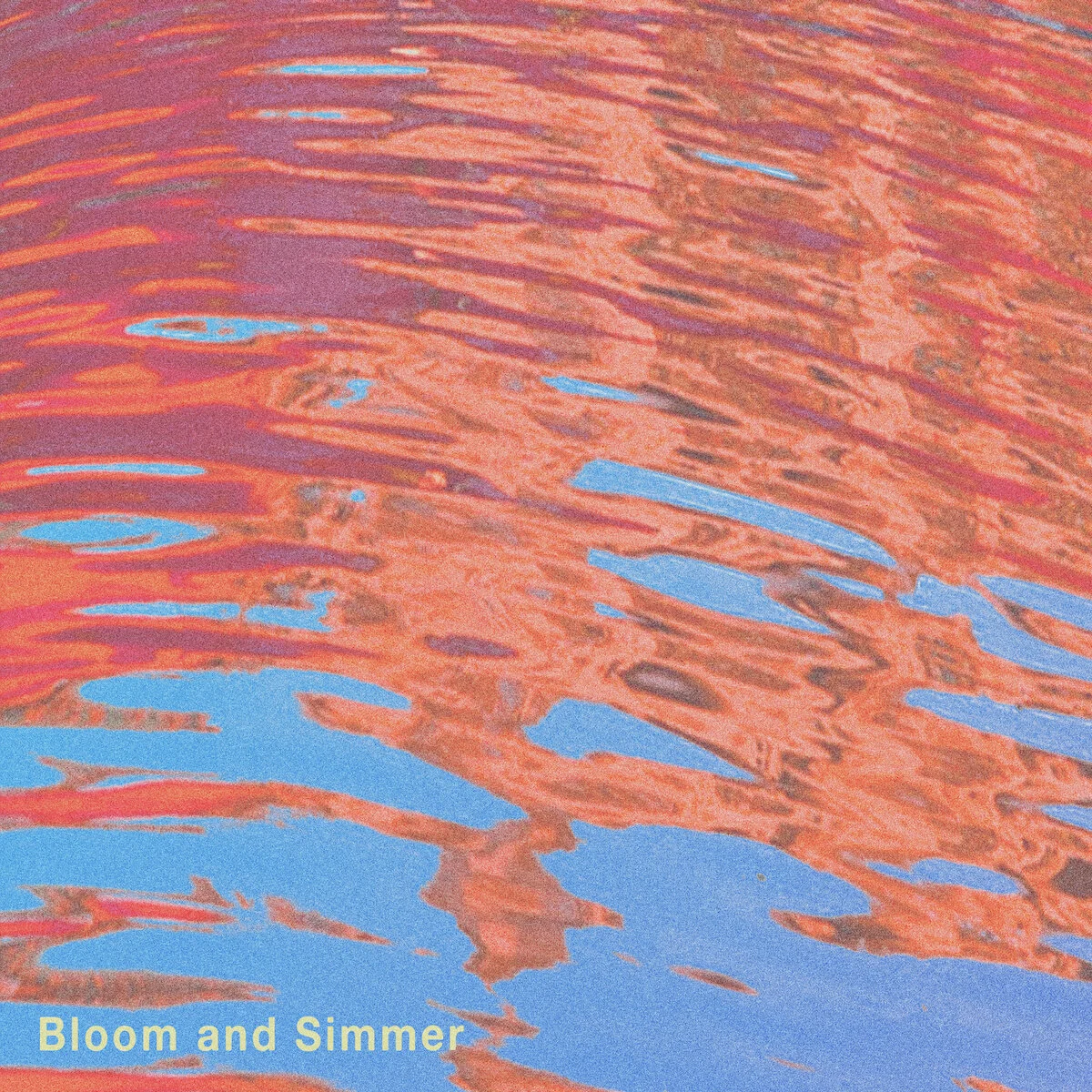 Bloom And Simmer compilation out now