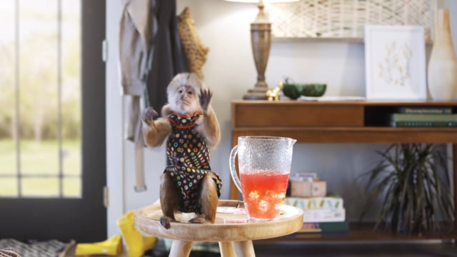 Pergo Timbercraft - Monkey Games