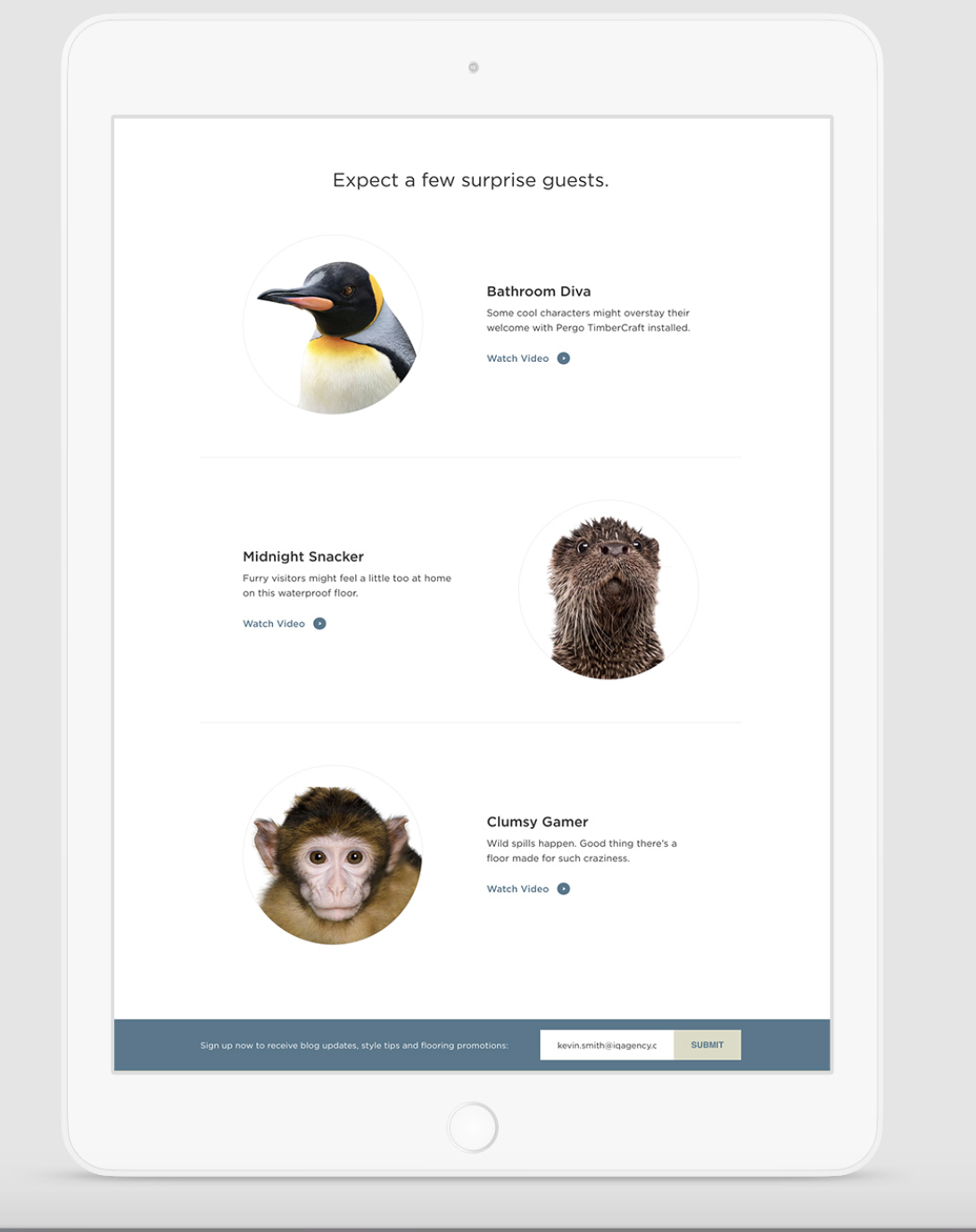 Screen Shot 2018-08-17 at 8.56.35 AM.png