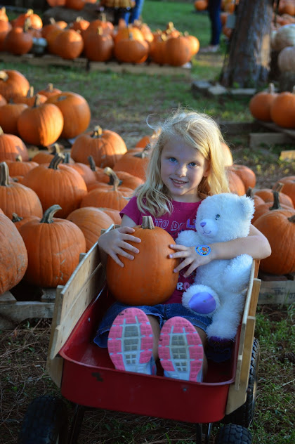 Pumpkin Spice and everything nice...