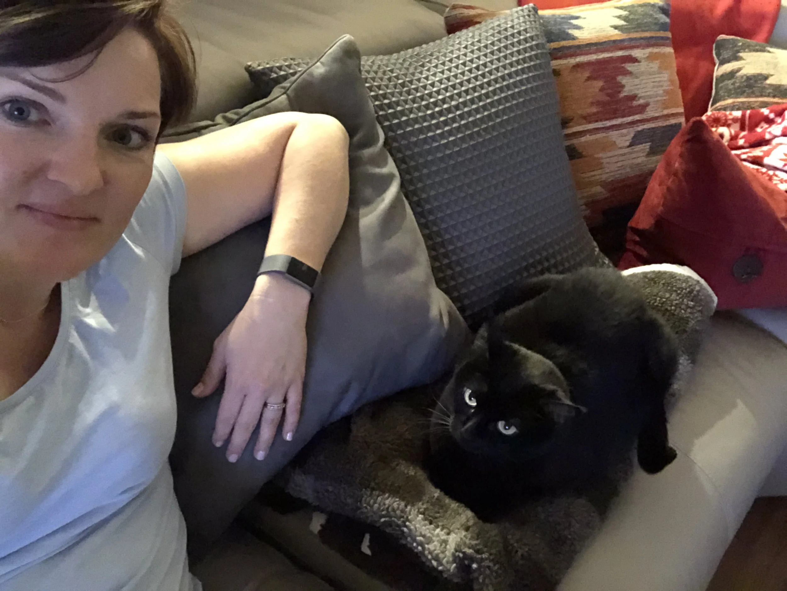 C is for Cat...  #atozchallenge April 2019