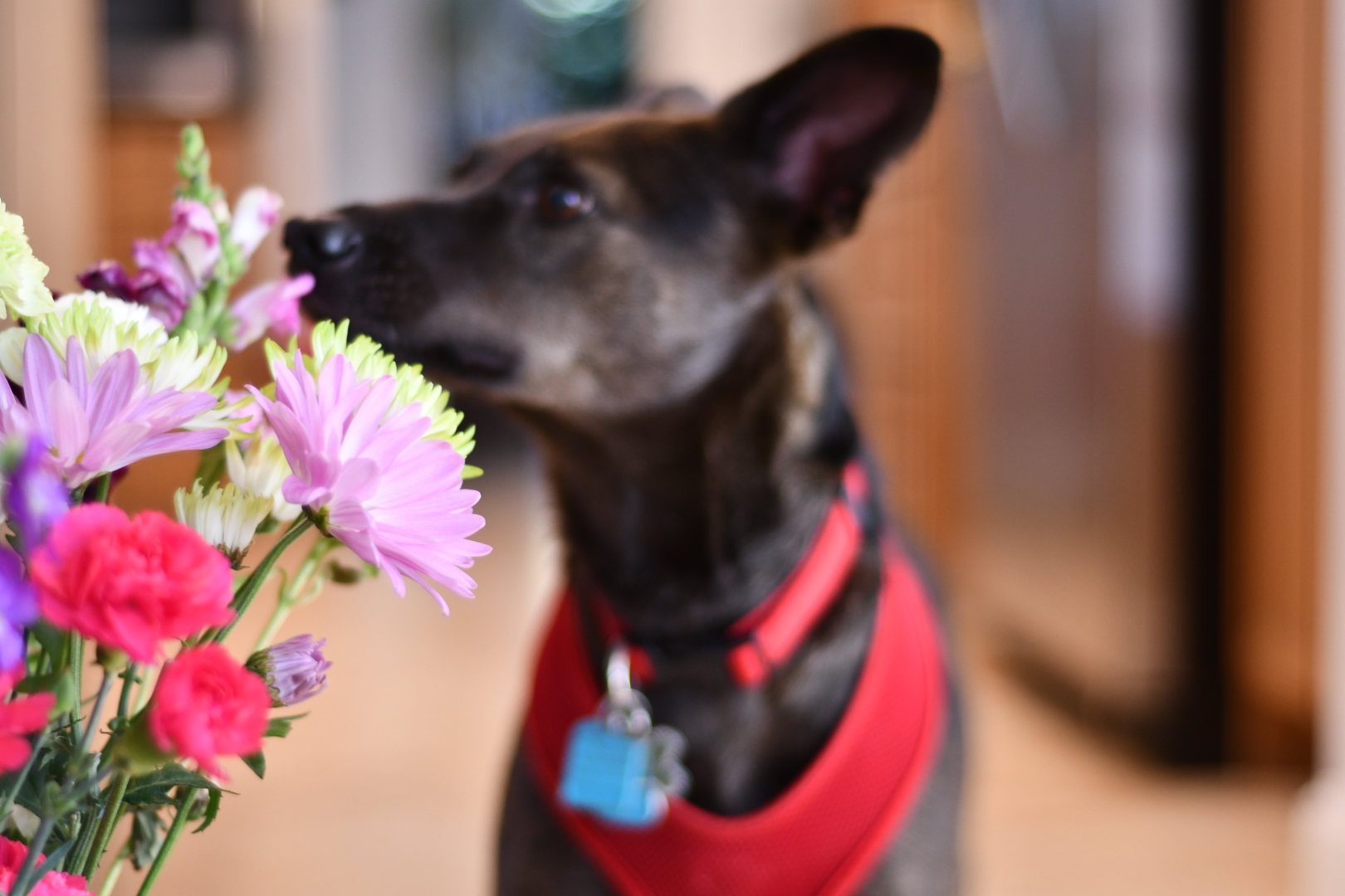 DSC_1023.jpeg