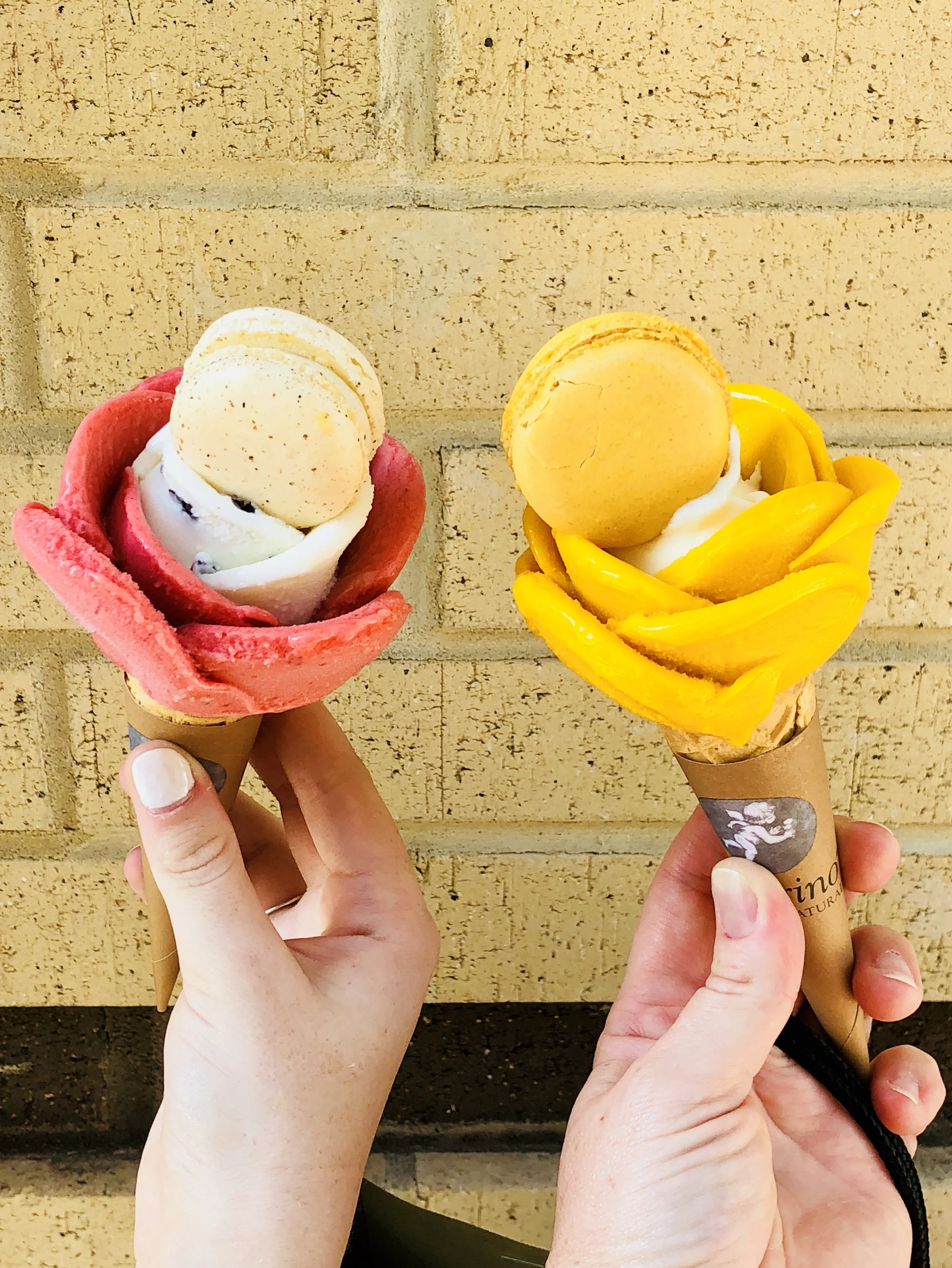 How amazing are these gelato “flowers”. It was so cool to watch when they made these. We found the little shop in Raleigh last summer and will definitely stop again when we go this summer.