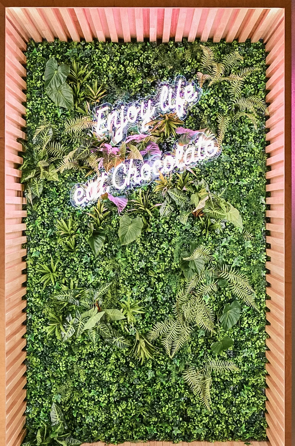 Chocolate Heaven {Wordless Wednesday}