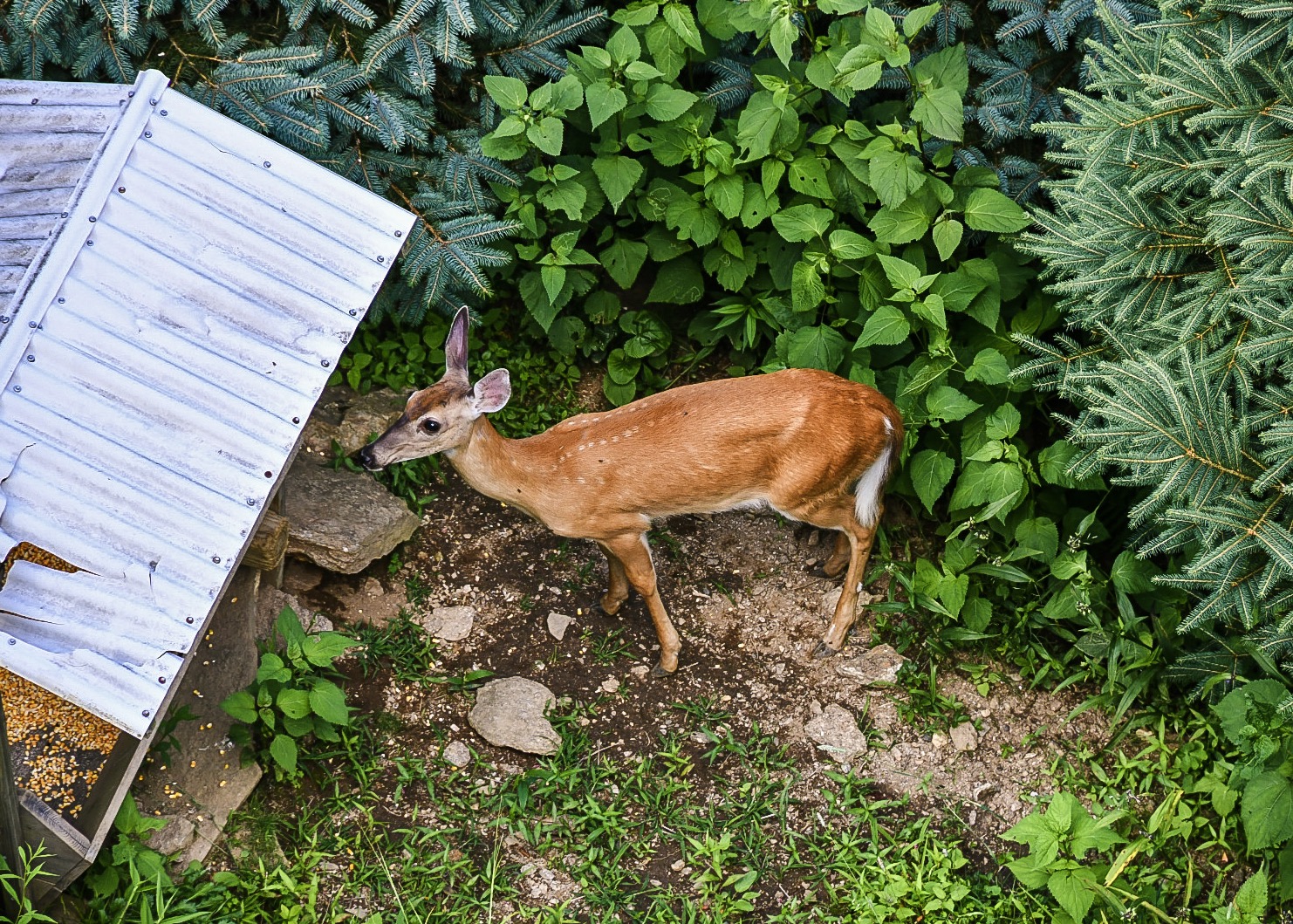 DSC_4999.jpeg