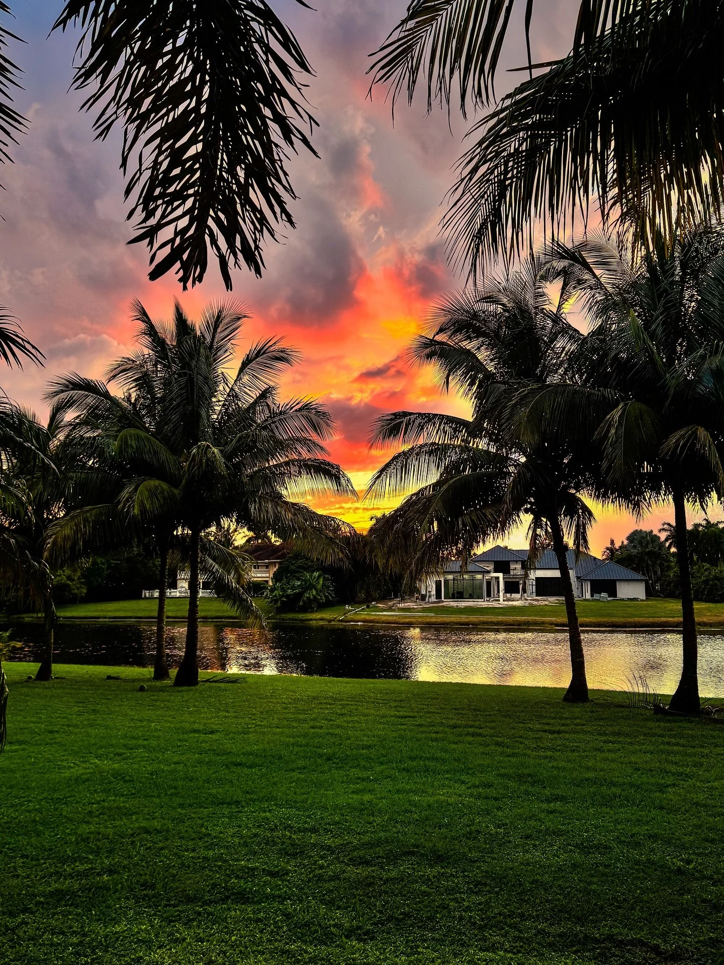 &ldquo;Have you ever seen anything in your life
more wonderful
than the way the sun, every evening, relaxed and easy, floats toward the horizon
and into the clouds or the hills, or the rumpled sea, and is gone&hellip; &ldquo; Excerpt from The Sun, po