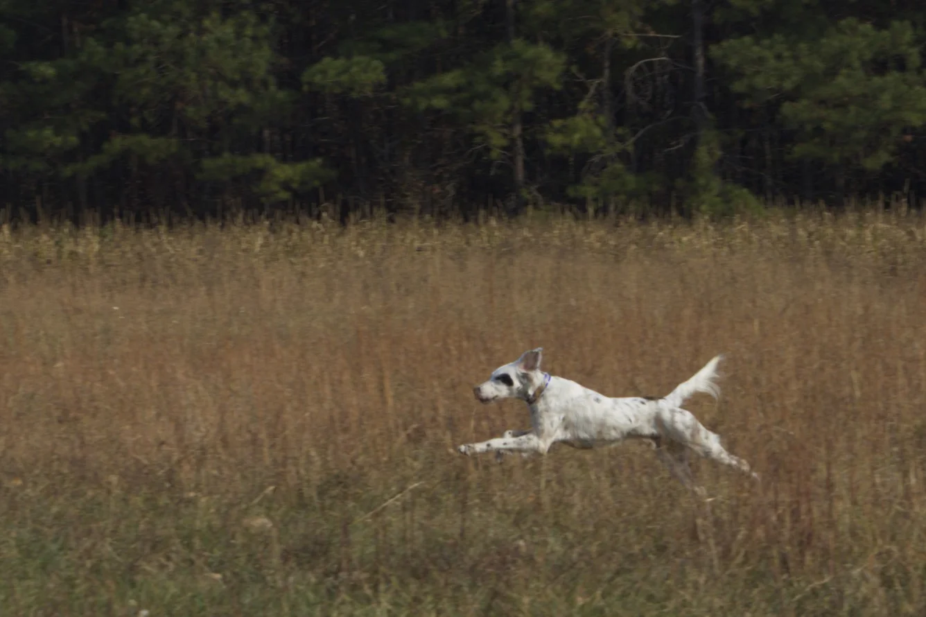 DSC_0051 - Version 2.jpg