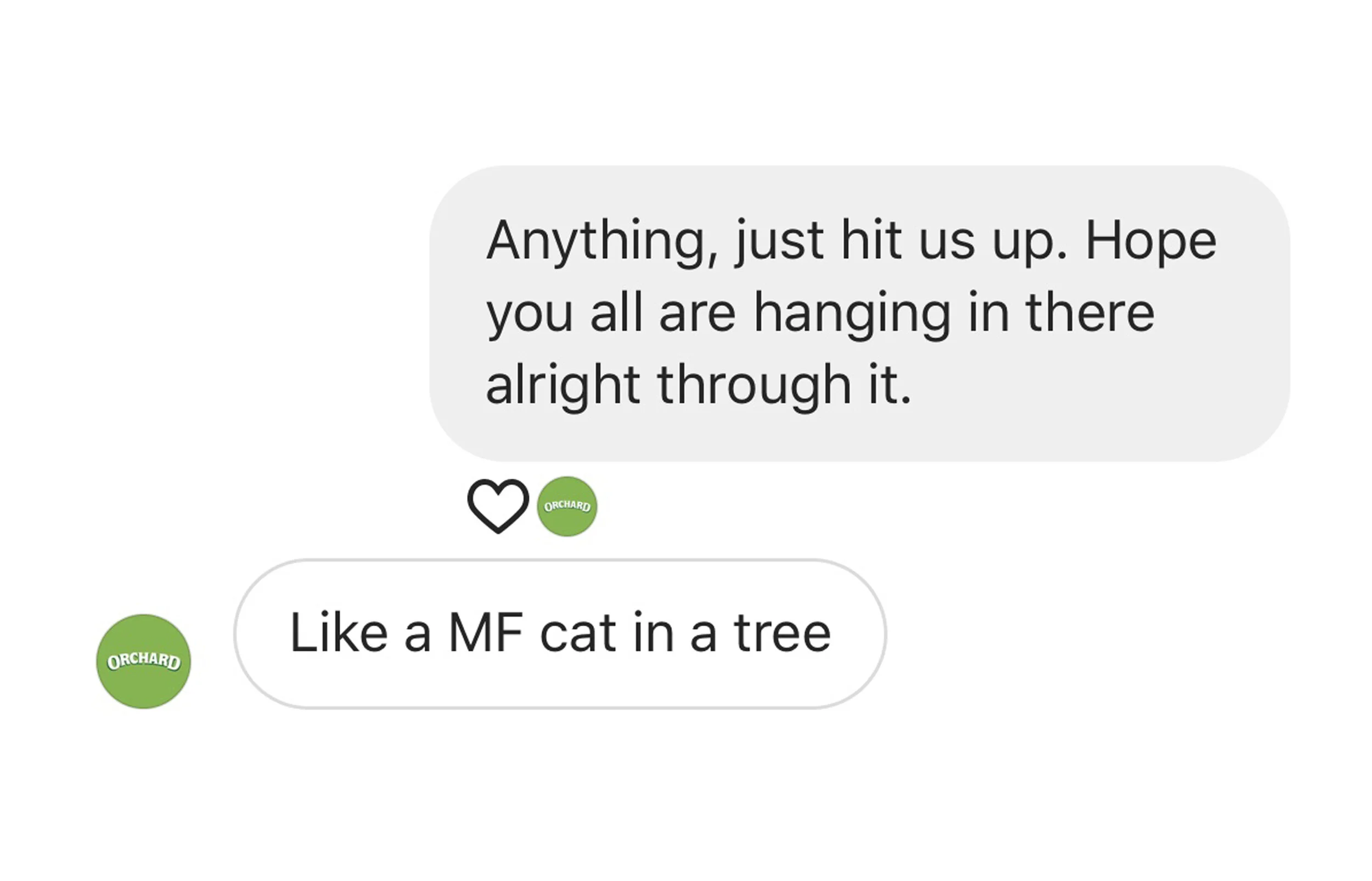 Cat Jokes