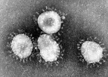 Ep 7 Coronavirus Part 2