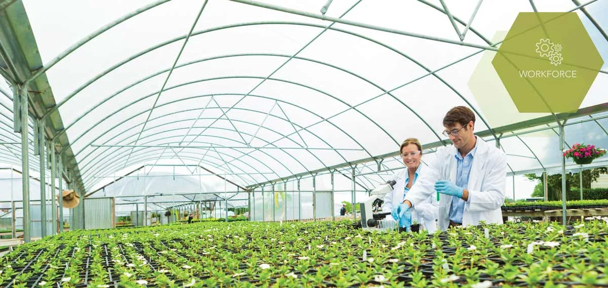 The emerging cannabis industry is facing a challenge with parallels in many booming sectors: to find the talented and trained individuals it needs for its projected growth. ISTOCK.COM