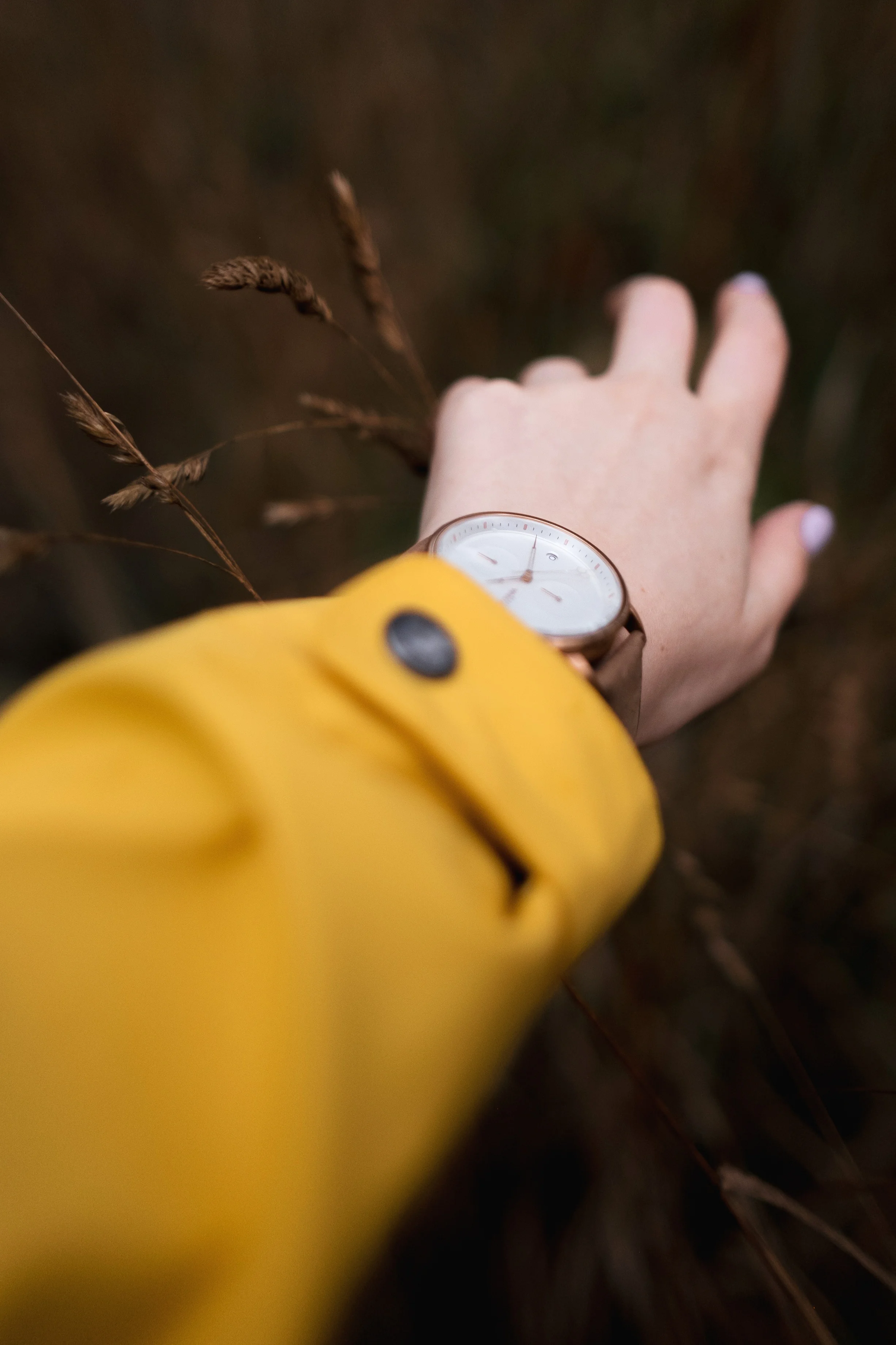 CALIFORNIA WATCH CO-19.jpg