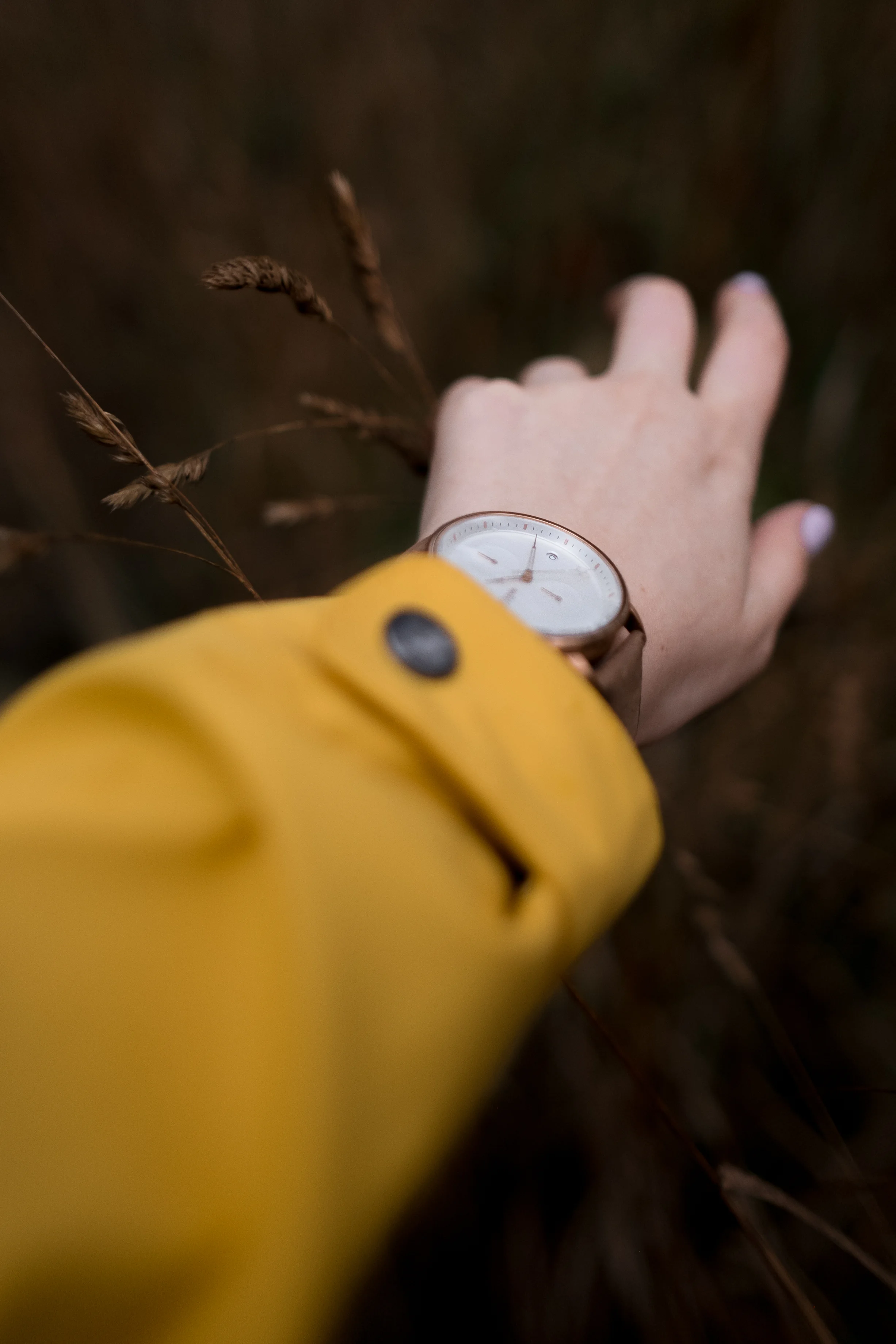CALIFORNIA WATCH CO-19.jpg