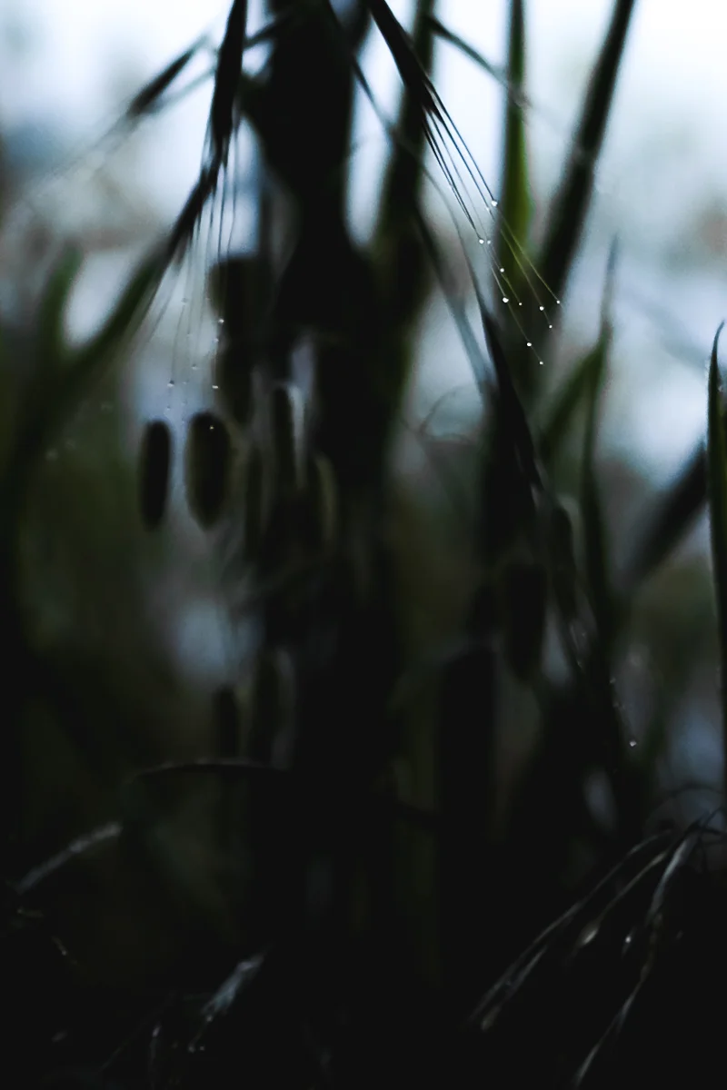 DSCF5925.jpg