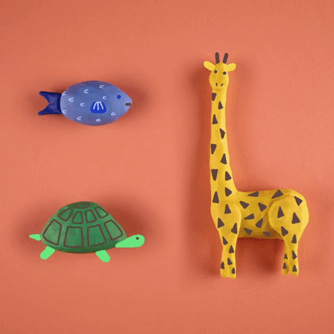 giphy-4.gif