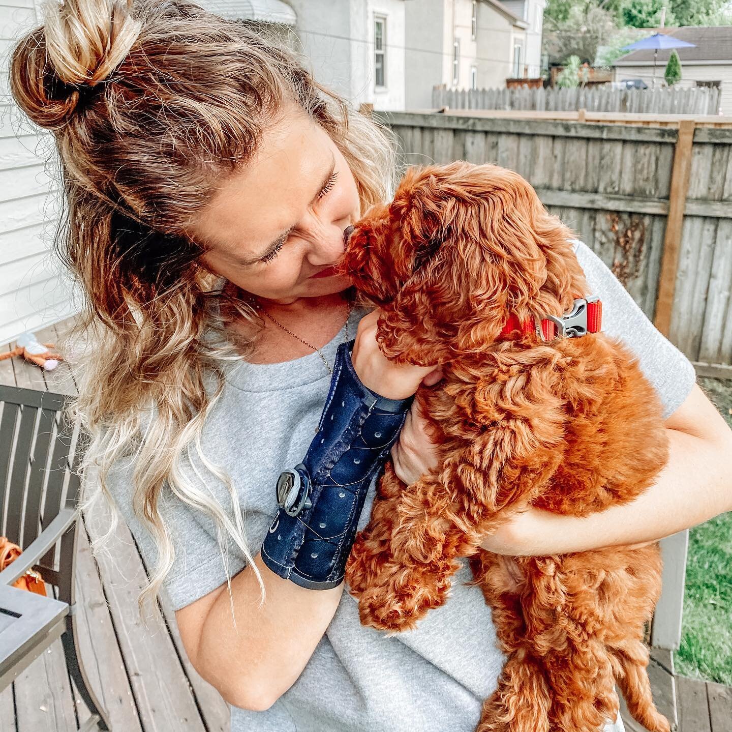 If I&rsquo;m ever charged with a crime, it&rsquo;ll be puppy snatching. Also, is it a crime if he fits in your purse? Asking for a friend. 

(This is Lewis, a friend&rsquo;s 8-week-old labradoodle, named in honor of our sweet Lou. #rip #loumackinnon)