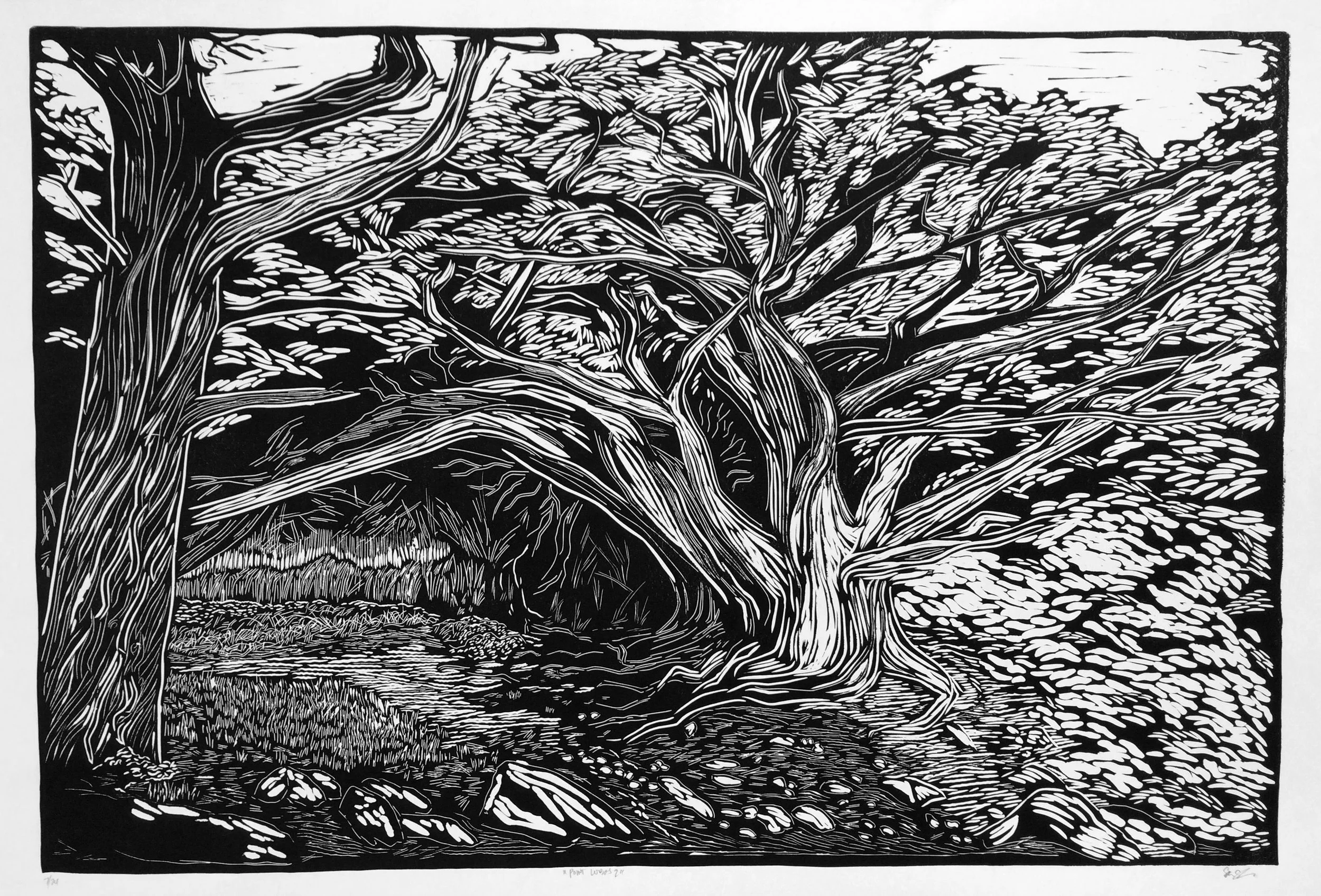 POINT LOBOS 2 ARTIST: Sirima Sataman MEDIUM: Linocut – Ink on 100% cotton paper DIMENSIONS: 48 in x 36 in | 121,92 cm x 91,44 cm EDITION: 24 PRICE: $750 unframed | $1800 framed