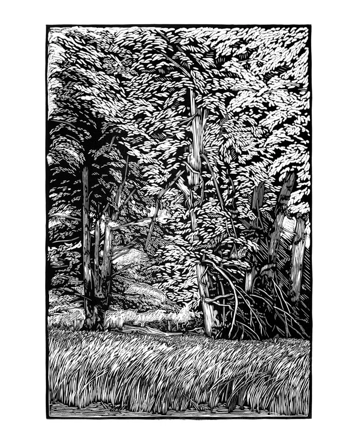 Sataman_Last Chance.JPG