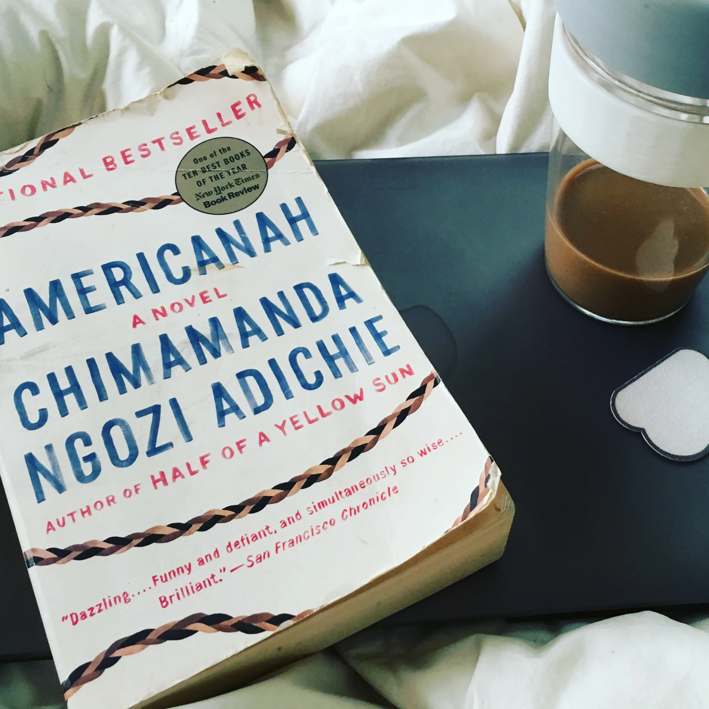 Life’s Journey Illustrated In Americanah