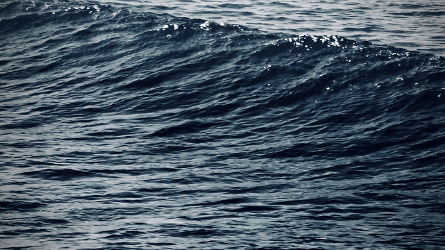 MVI_6151.00_00_03_00.Still003 (3).png