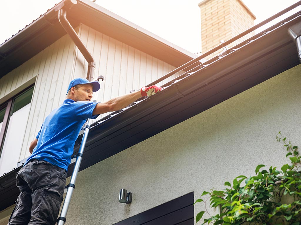Gutter Cleaning.jpg