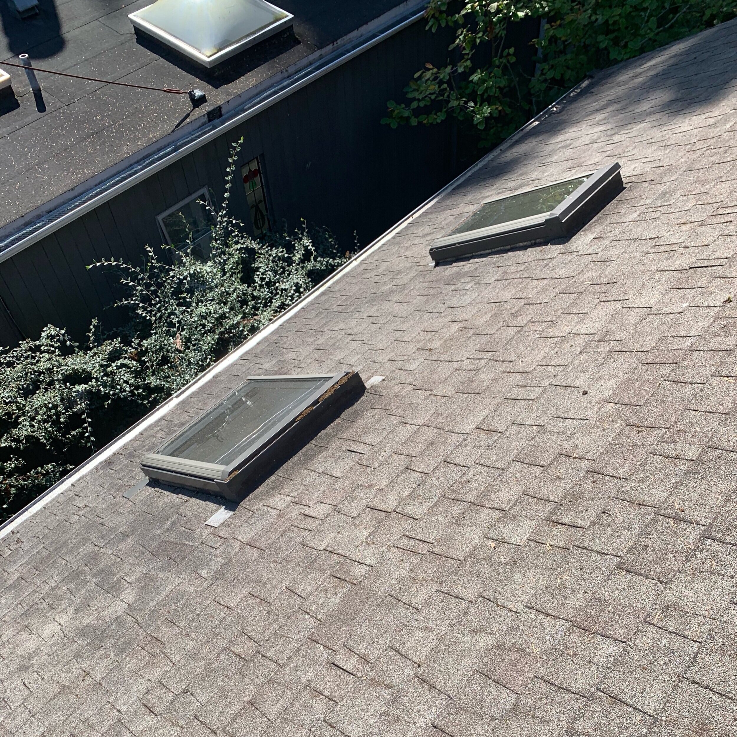 Roof+After.jpg