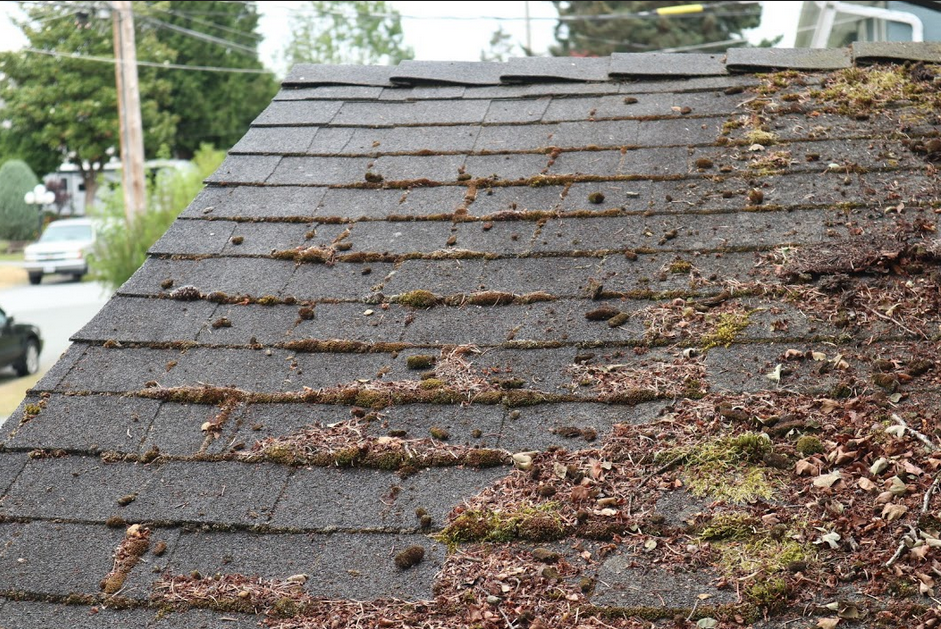 roof moss treatment debris.png