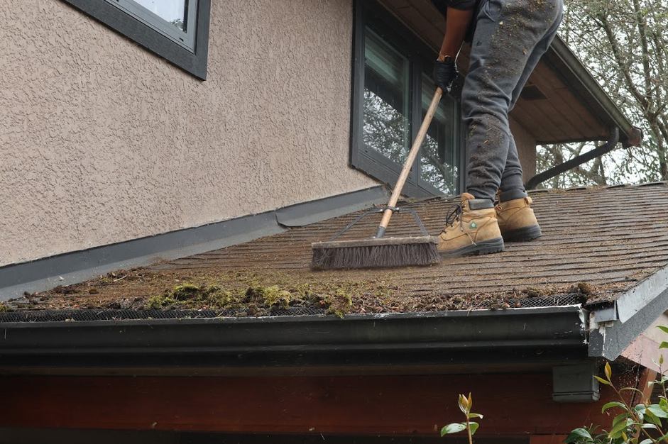 roof moss treatment sweep.png