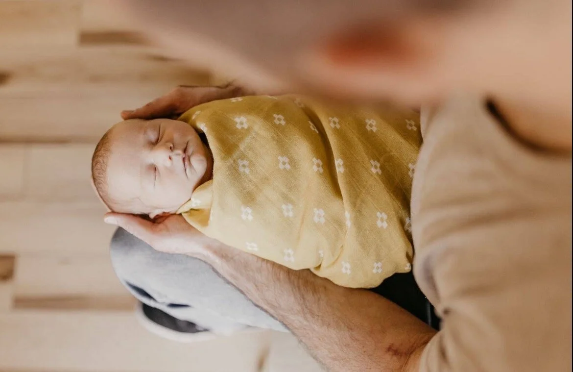 2F919DA2-45F3-4B16-9046-AE3CEE286BBB