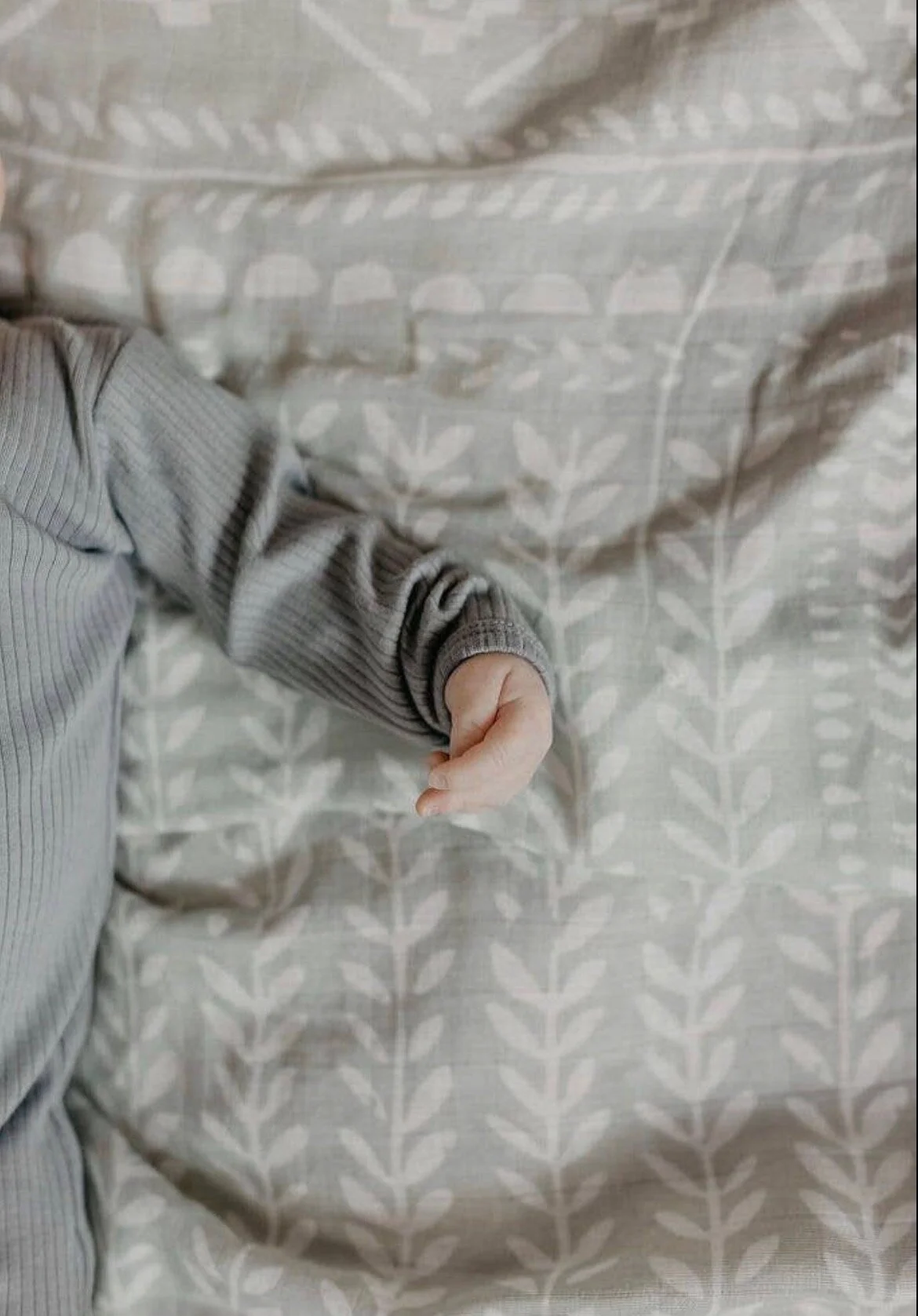 6B96ECC5-6030-4F78-8C8D-94D1F982C8C1