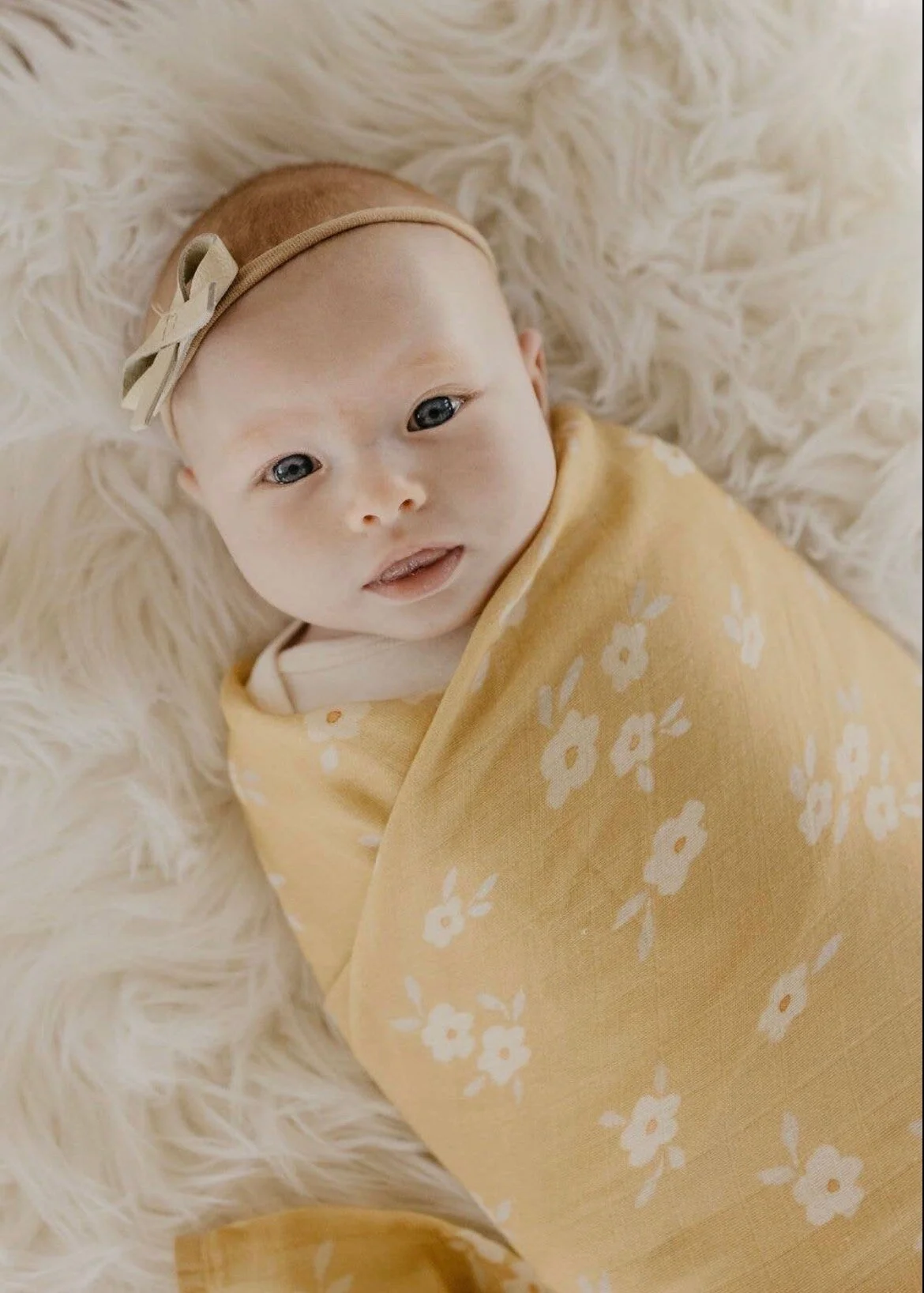 1A2AC0C0-6EEC-4CA9-8D6B-1833C5941FC0