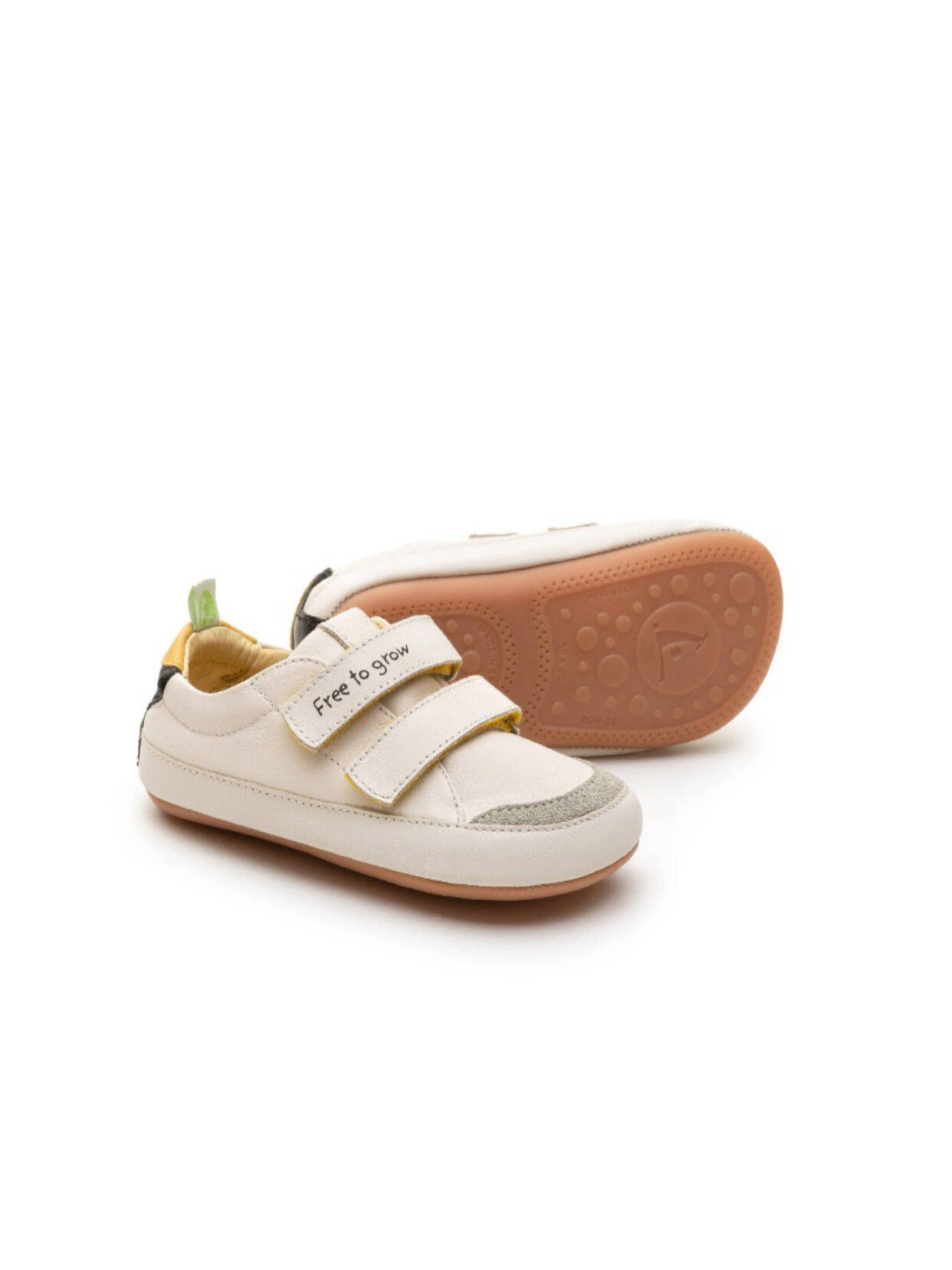 6443A924-3A7F-4B7F-B333-309678817D81