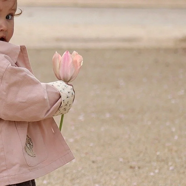 615F046D-4A6C-4D12-8F8A-9259D0B77660