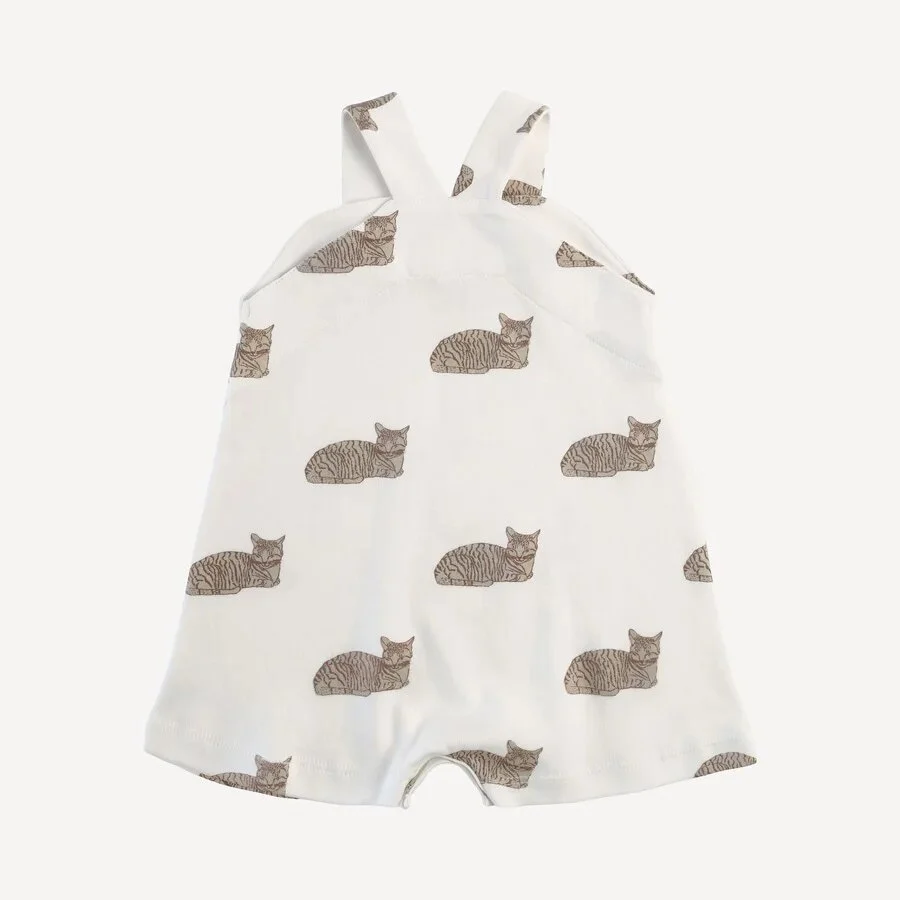 6DD181A5-470C-4B37-B81F-CF8C6C6F8C9E