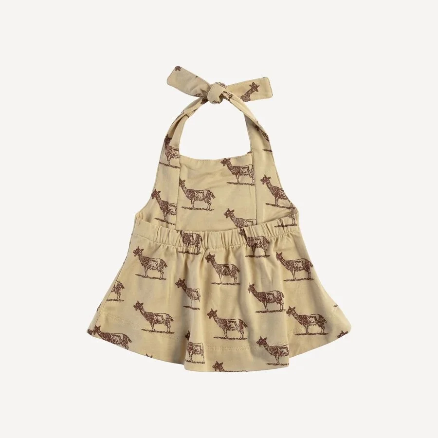 99086EF5-40FE-47B2-A49E-CE9112A5E24A