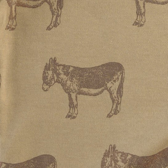 96C5B7BA-2EC6-411F-9FB0-7181F416C38B