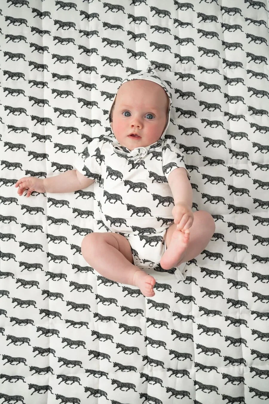 726E0535-E4DA-4EBE-972A-BAD79DA3B1E0