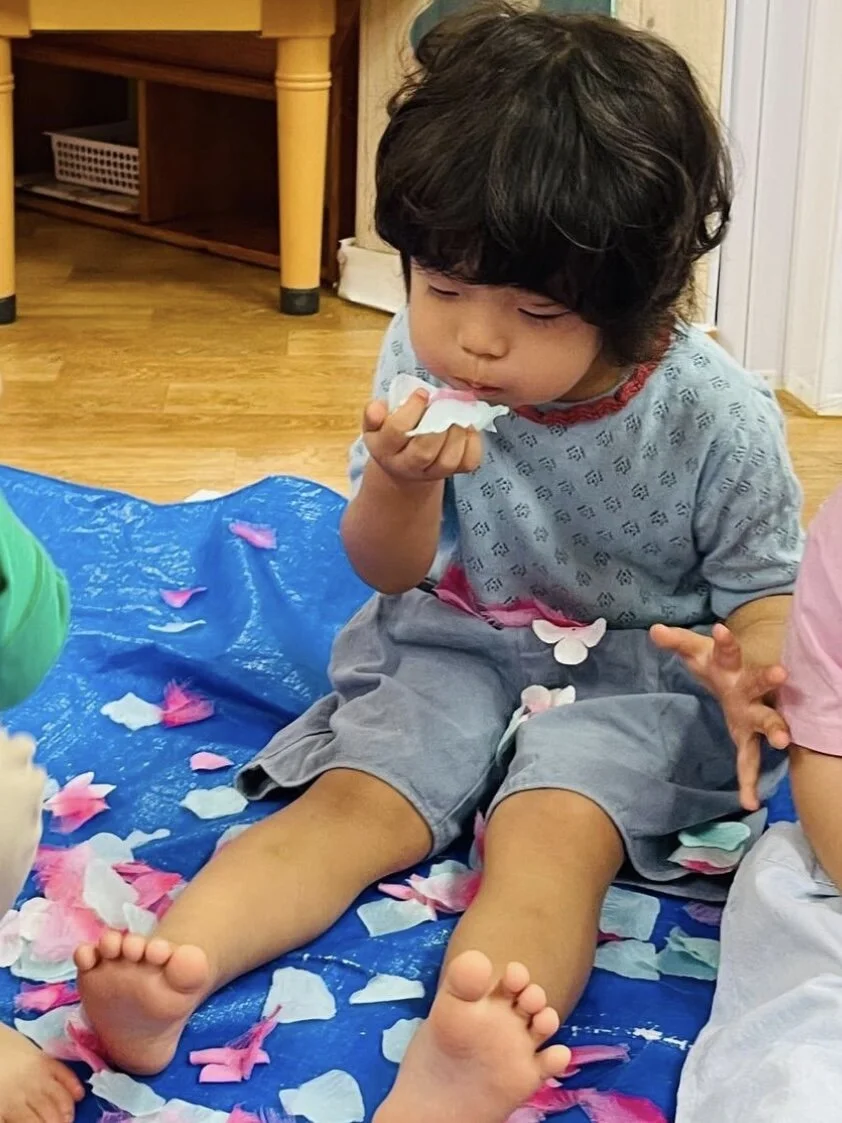 41B8176B-24EC-4529-83D3-B3CA9CDDBC4C