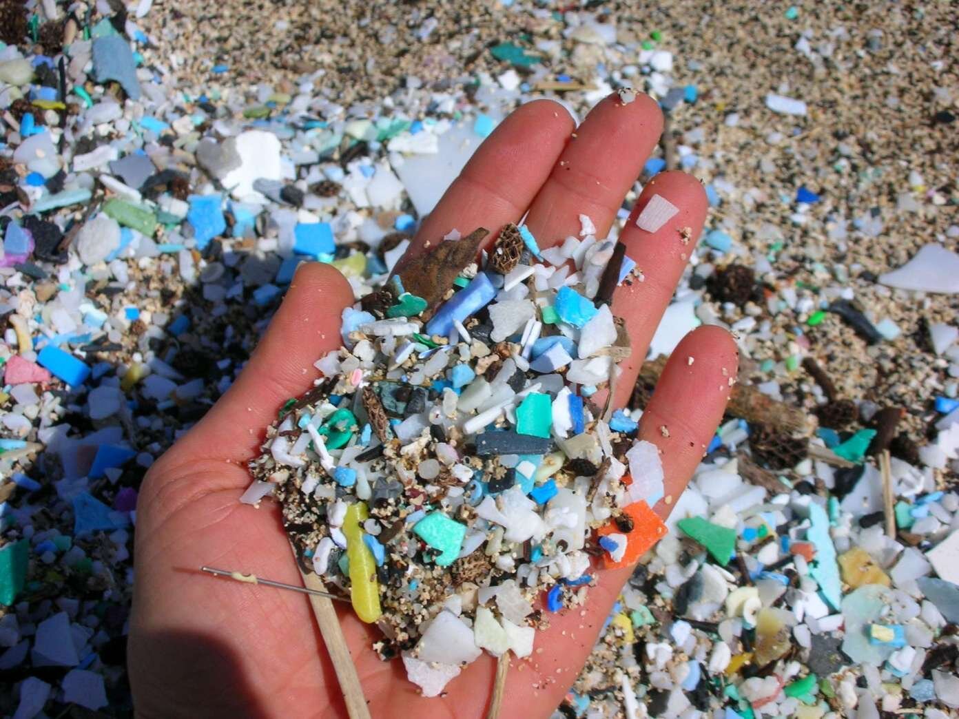 Goa beach clean up vaayu.jpg