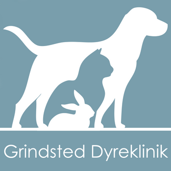 Grindsted Dyreklinik 5.000.png