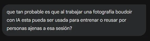 Pregunta sobre el riesgo de que fotografías Boudoir utilizadas con IA sean reutilizadas o usadas para entrenamiento