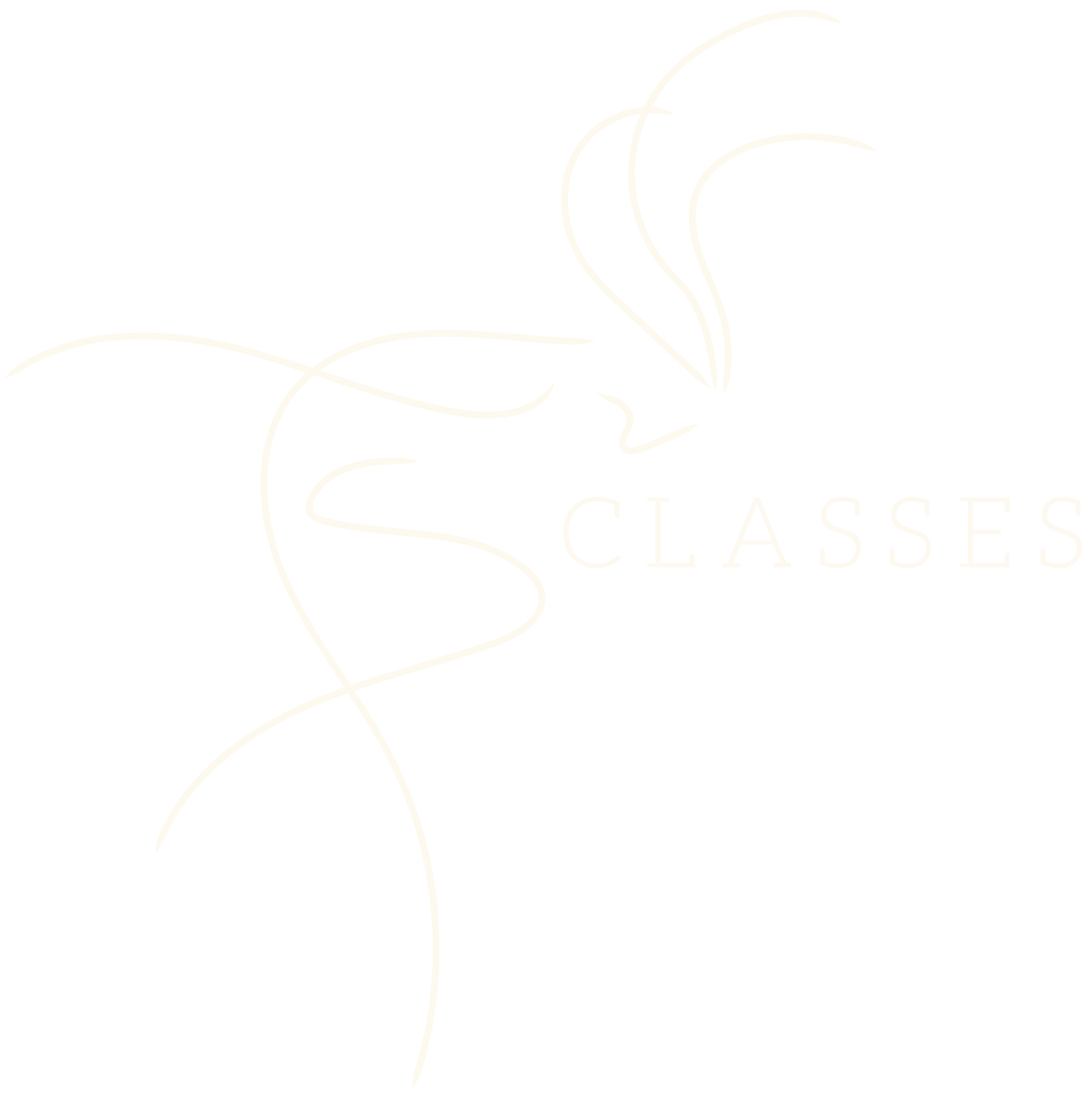 danceworks-icon-classes.png