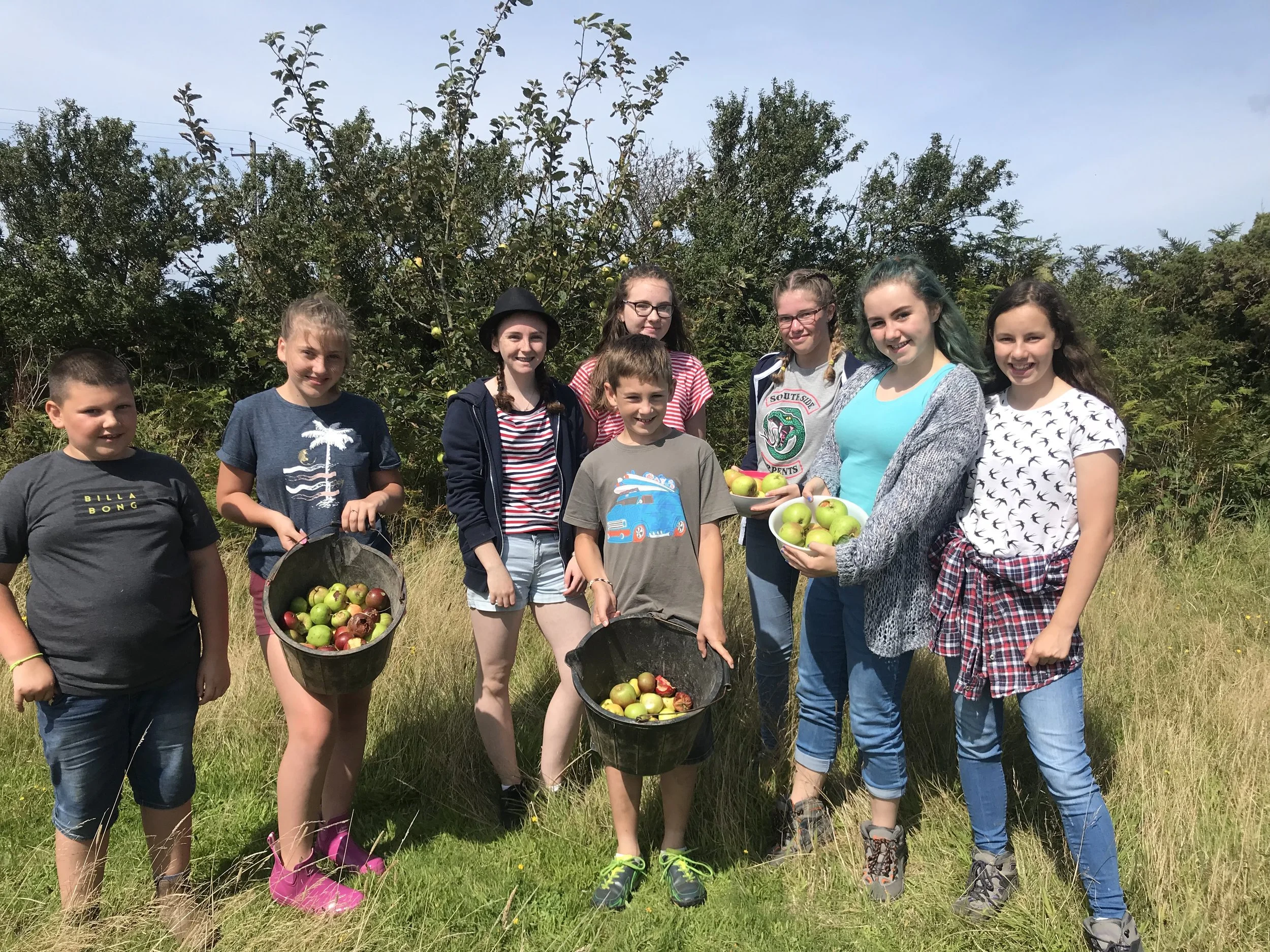 Collecting apples for making an apple and blackberry crumble for lunch.