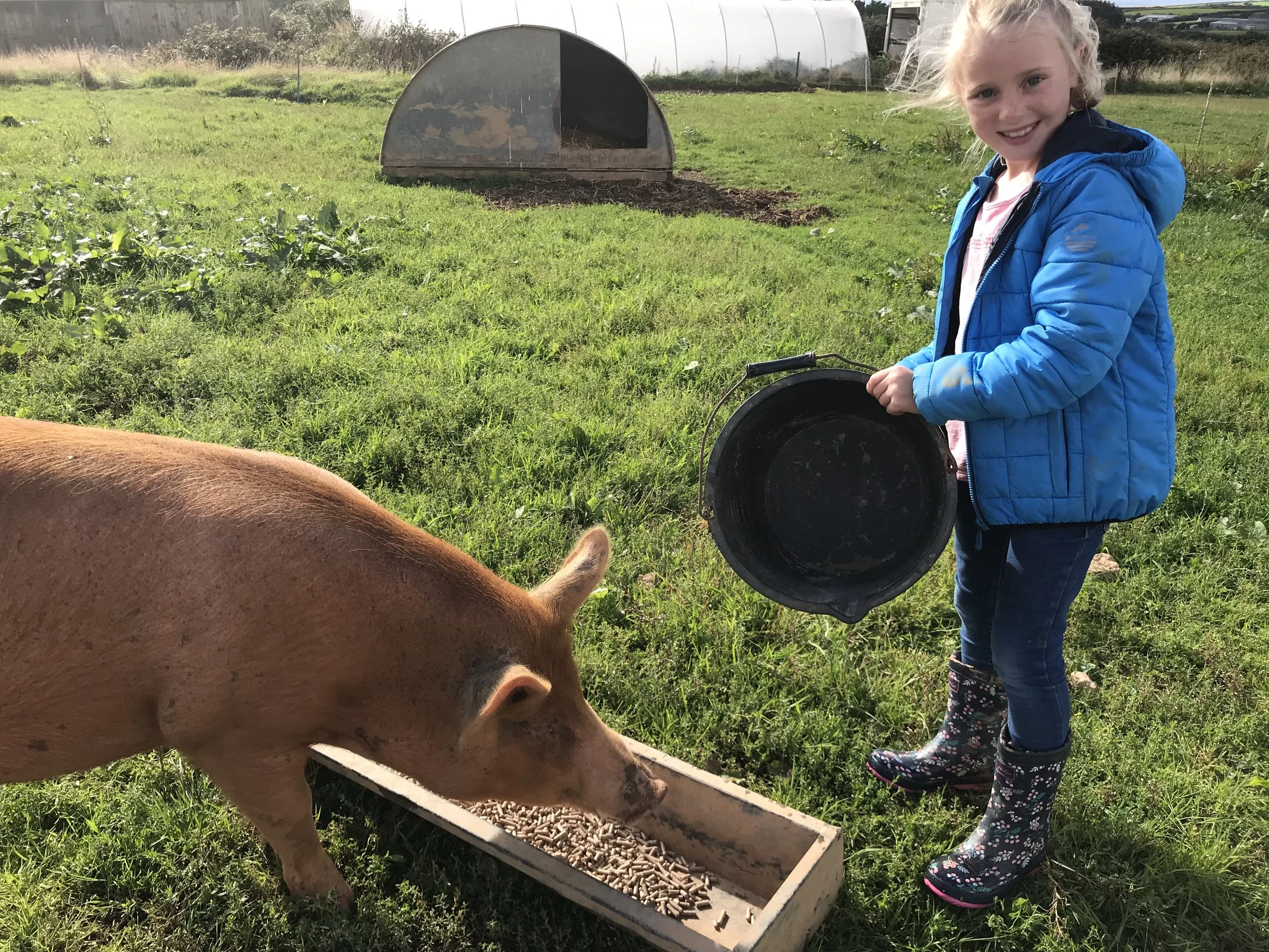 Pig feeding to finish off the day!