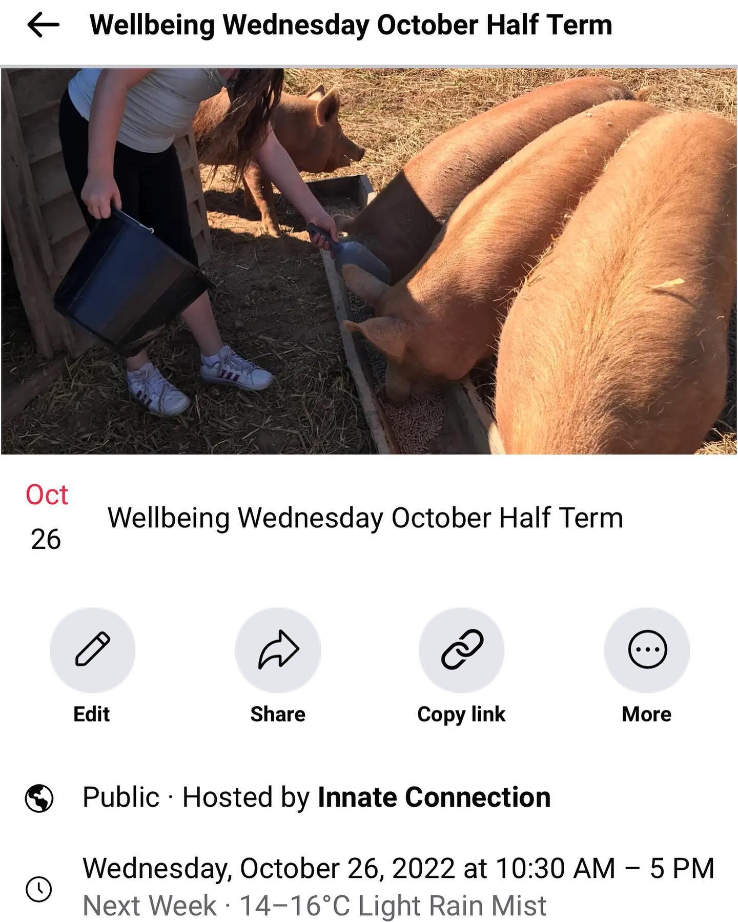 ONE SPACE LEFT! 

One place remaining for Wellbeing Wednesday Holiday Club next week - Wednesday 26th October 💚 10:30am to 5pm. 

A farm wellbeing day for ages 8+, making new friends, enjoying time outdoors and with the animals. On the day we&rsquo;