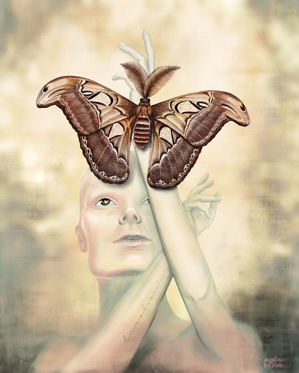 Rebirth