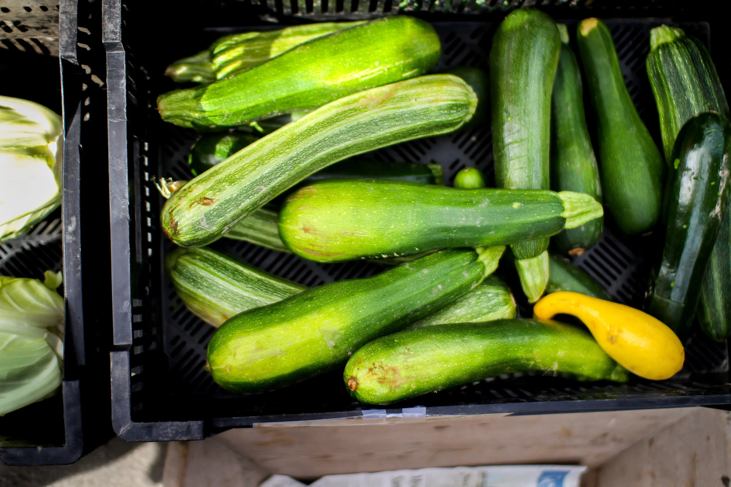 zucchini.jpg