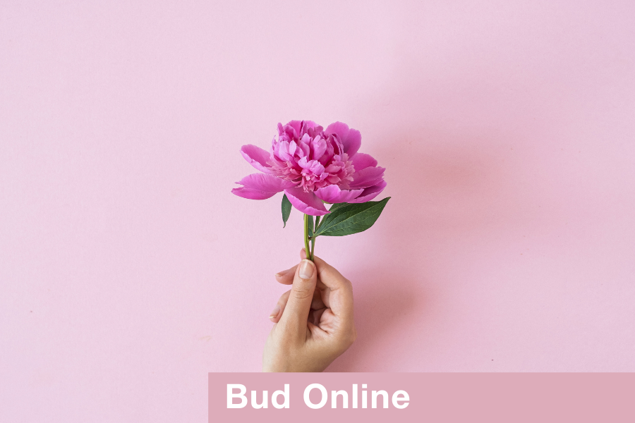 Bud - Advanced Floristry