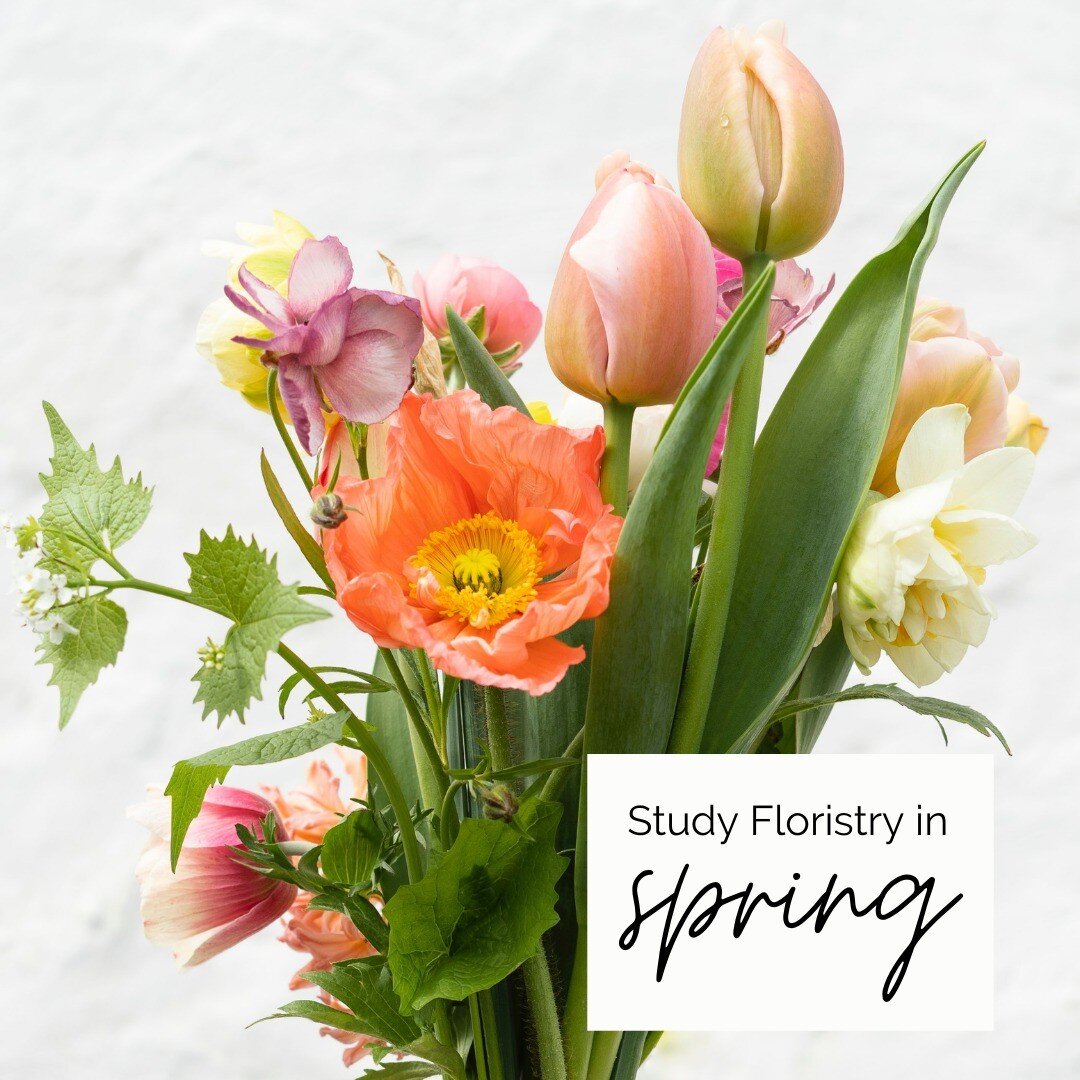 Spring is the perfect time to study floristry, with the bountiful spring blooms providing you with plenty of inspiration for your creative endeavours. The warmer weather and longer days make it the perfect time to learn something new.

Floristry is a