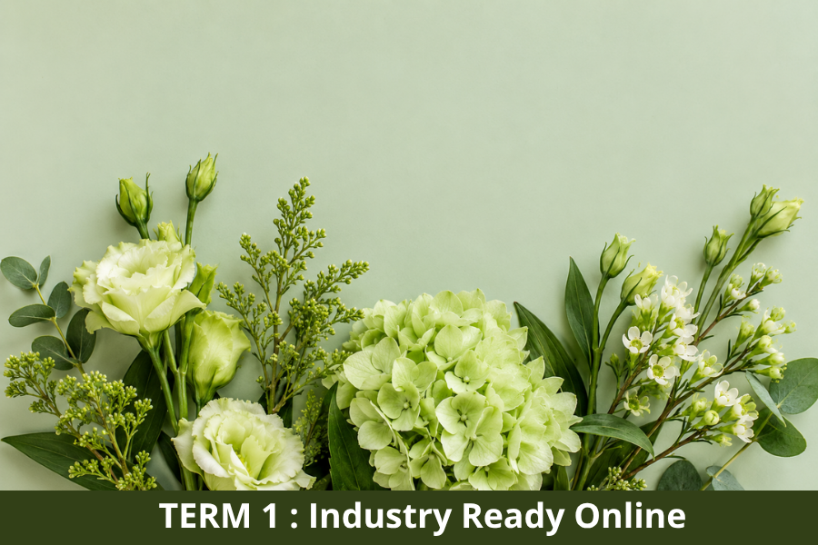 Term 1 Industry Ready Online