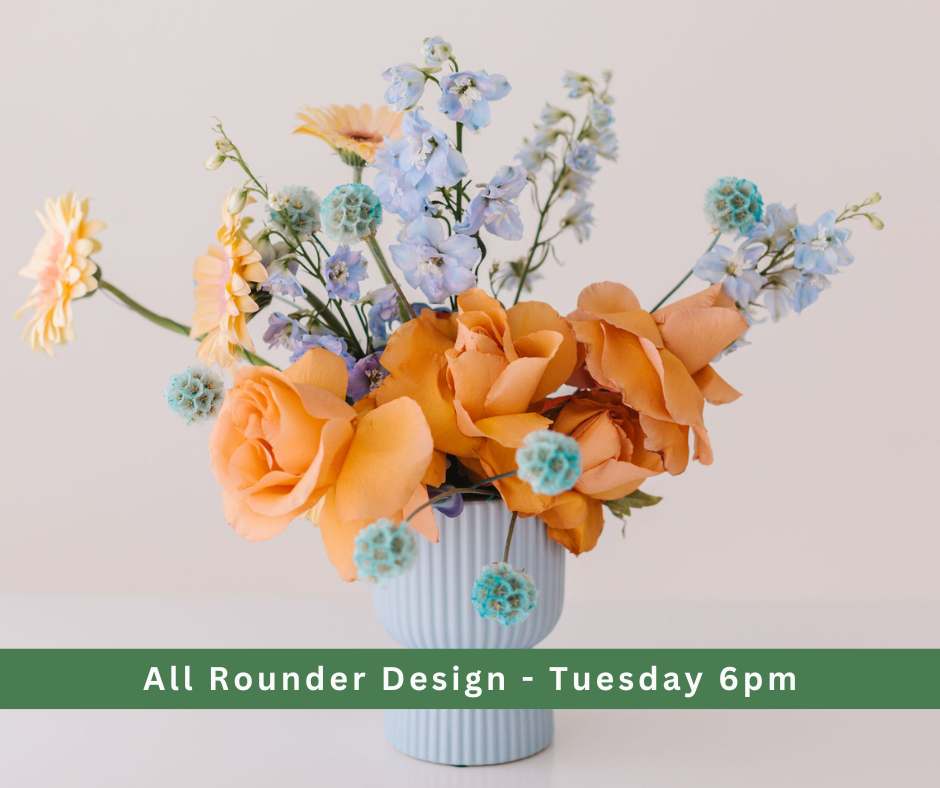 All Rounder Banner - Seed.png